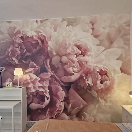 Casa Le Coccole Διαμέρισμα Λιβόρνο Εξωτερικό φωτογραφία